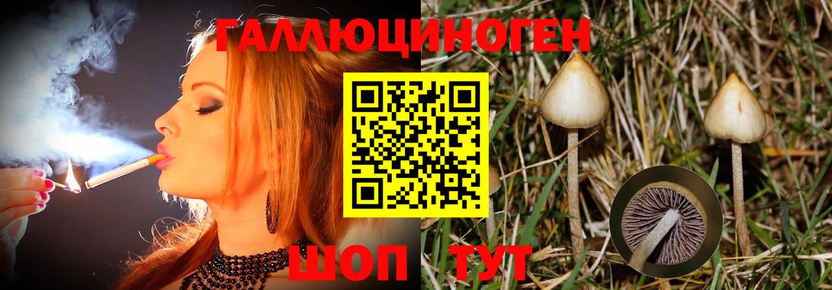 Псилоцибиновые грибы MAGIC MUSHROOMS Михайловка